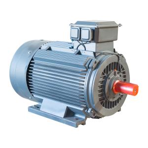 China AC 2 Pole 3 Phase Induction Motor IP55 Electric Motor 15 Hp Low Voltage on sale