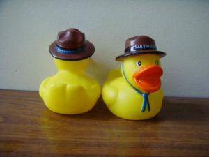 Wholesale Phthalates Free Personalised Rubber Duck With Hat / Geologist / Desert Driver Design from china suppliers