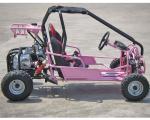 Foot Brake Operation Go Kart Buggy 4 Stroke CTV Electric Start Automatic With