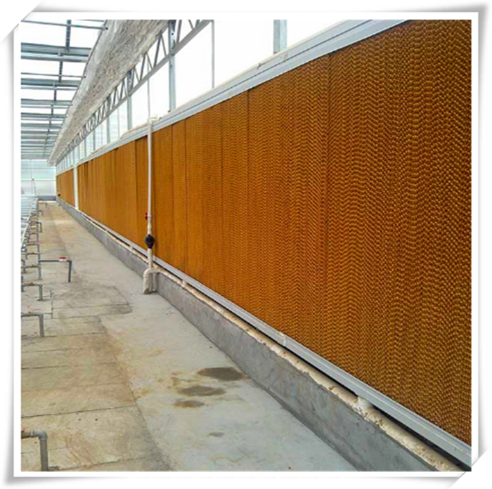 Large Multi-Span Glass Greenhouse with Hot-Dip Galvanized Skeleton and Control System