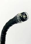 Rubber Band Endoscopic Varices Ligation