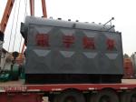 0.5t Coal Fired Thermal Oil Heater High Thermal Efficiency Wildly Used