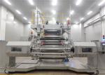 Hot Melt Coating Machine PET Substrate Auto Coating Machine