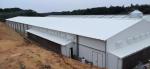 Customized Q235B Q355B Steel Structure Poultry Sheds Galvanized Steel Farm House