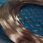 Alloy M25 Leaded Copper Beryllium Wires For Contact Bridges High Strength ASTM