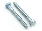 ISO9001 Certified Hexagon Head Wood Screw DIN571 with Full Thread and Zinc