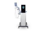 Non Invasive Face Lifting Treatment Equipment For Professional Use -- FES RF