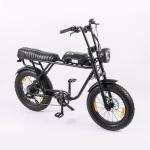 Rear Carrier Battery Position 48V 1000W Electric Bicycle for Fast Speed and