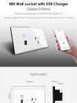 Wi-Fi Wall Socket&USB Charger