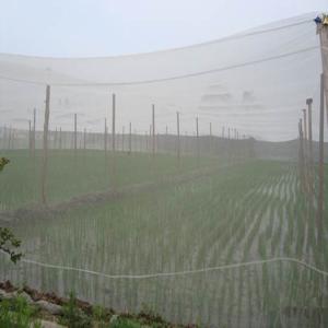 Wholesale 40 Mesh 100% HDPE Insect Mesh Netting Non Toxic For Disease Prevention from china suppliers