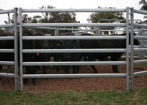 Wholesale 6 Bar Demountable Horse Round Yard Panels Security Portable Round Pen from china suppliers