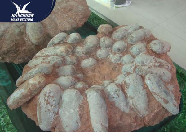 Quality Real Large Dinosaur Fossil Replicas Customized Color And Size CE RoHS Certificated for sale