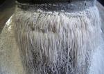 Fast Rotary Basket 4kw High Speed Granulator