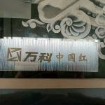 220V/110V 50-60Hz Laser Zinc Etching Machine for Copper and Aluminum Carving in
