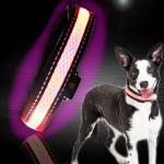 Customized LED Dog Collar Waterproof Luminous Colour Blue USB Rechargeable