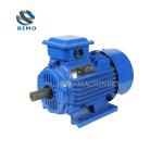 Customizable Gost Standard AC Electric Motor 60Hz 4 Pole 100% Copper Wire