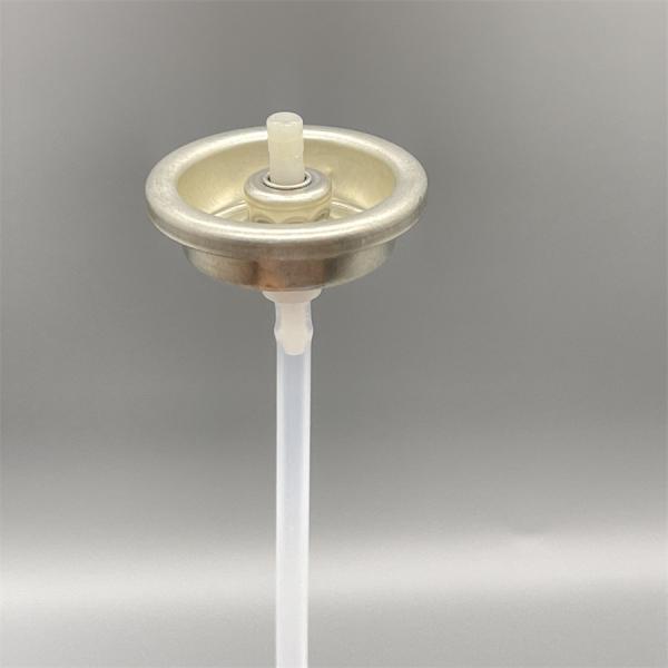 Compact Air Conditioner Cleaning Agent Valve for Automotive AC Maintenance with