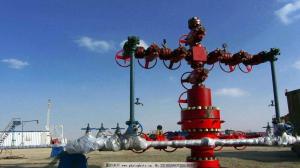 Wholesale API 6A Wellhead 2-9/16&quot; 5000psi PSL1 &amp; PR1 X-Mas Tree , Oilfield Chrismas Tree for Oil Drilling from china suppliers
