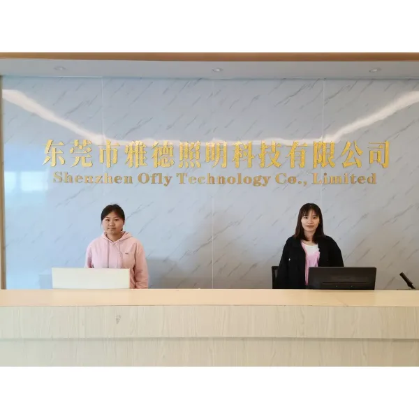 6063 T5 Aluminum Alloy Surface Mounted LED Profile with Anodized Surface for Cabinet Lighting 17.3*13.4mm