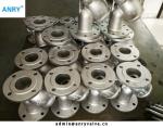 Flanged RF Cast Steel Body SS304 Mesh Y Type Strainer