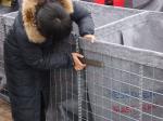 mil 1 Defence Barrier Wall System