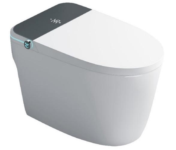 Siphonic Intelligent Toilet Ceramic Bowl Top Standing High Tech Modern Smart