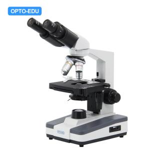Wholesale Halogen Light Student 1000x WF10X Biological Compound Microscope from china suppliers