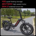 Lithium Battery Magnesium Alloy 48V/13Ah Led Variable Speed Electric Bicycle