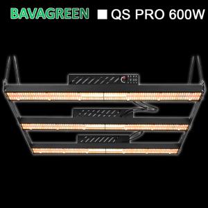 Wholesale IP20 1560Umol/s UV IR LED Grow Light 600w V4 Samsung Lm301h AC277V from china suppliers