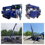 Mini Electric Diesel Spider Lifting Equipment Crawler Spider Crane Fly Jib 3T 8T