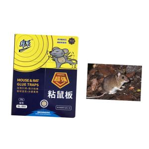 Wholesale High Efficient Family Foldable Mouse Board Viscid Rat Catch Bait Tool Thick Glue from china suppliers