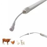 Versatile and Durable LED Poultry Tube Light with 50,000 Hours IP67 Waterproof