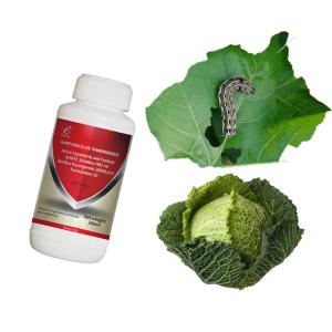 Wholesale Maize Biological Insecticides Insect Resistant Corn Borer Pesticide AcNPV + Bacillus Thuringiensis from china suppliers