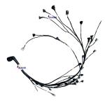 Racing Wiring Harness Engine Ignition System High Quality OEM Wire Harness