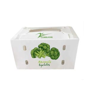 Wholesale Corruone waterproof recyclable corrugated plastic vegetable and fruit box from china suppliers