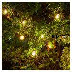 2700K-6500K 1w Led Filament Bulb LED Decorative Lights For Garden