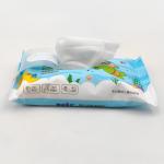 Private Label Free Sample Disposable Natural Fabric Biodegradable Baby Water Wet