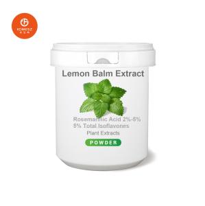Wholesale Sedative Medicines Ingredient Lemon Balm Extract 2%-5%Rosmarinic Acid Melissa Extract from china suppliers