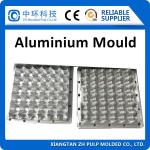 Vacuum Aluminium Injection Moulding Material Thermoforming Egg Tray use