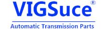 China VIGSuce Auto Parts Company Limited logo
