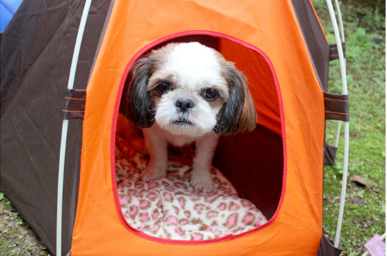 Outdoor sun protection small and medium-sized dog pet nest, special kennel cat litter puppy tent wholesale, spot