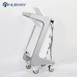 Professional two handles RF Microneedle skin rejuvenation stretch mark removal