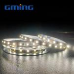 Low Voltage 12V 24V SMD 5050 LED Strip Light Monochrome Running Water Lamp With