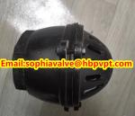 PN16 GG20 BS21 cast iron foot valve