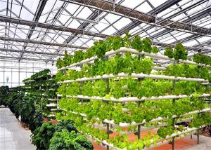 Wholesale 4m Bay Width Hydroponic Greenhouse Strong Ability To Resist Bad Weathers from china suppliers