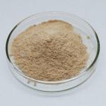 Food Grade & Industrial Grade Alcalase Protease 2.4L Customized