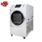 freeze dryer candy /small freeze dryer/ freeze dryer for liquids