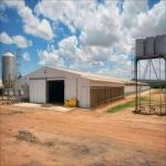 Modern Design Waterproof Thermal Insulation Chicken House Laying Chicken House