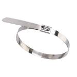 11.8 Inch Nature / Black Stainless Steel Cable Tie 4.6*300mm SS316 Cable Tie