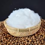 Versatile Low Melt Polyester Staple Fiber for Various Nonwoven Uses